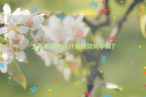 北京市林業設計資質如何申請？