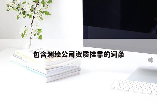 包含測繪公司資質掛靠的詞條