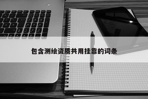 包含測繪資質共用掛靠的詞條