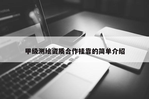 甲級測繪資質(zhì)合作掛靠的簡單介紹