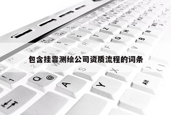 包含掛靠測(cè)繪公司資質(zhì)流程的詞條