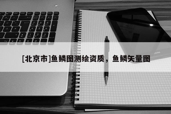 [北京市]魚鱗圖測繪資質，魚鱗矢量圖