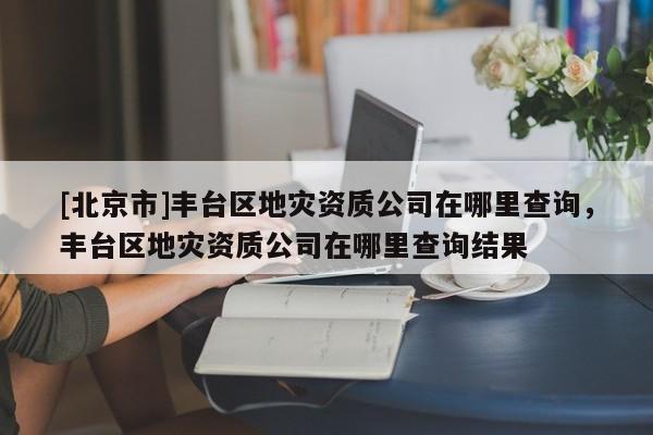 [北京市]豐臺區地災資質公司在哪里查詢，豐臺區地災資質公司在哪里查詢結果