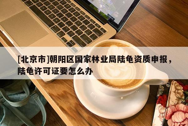 [北京市]朝陽區國家林業局陸龜資質申報，陸龜許可證要怎么辦